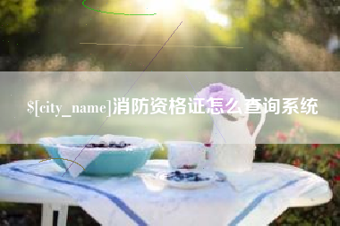 桦甸消防资格证怎么查询系统