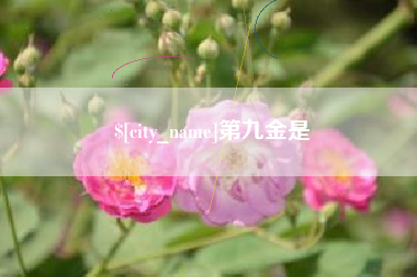 桦甸第九金是