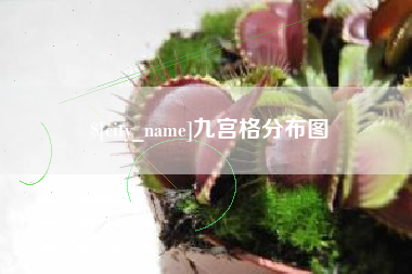 桦甸九宫格分布图
