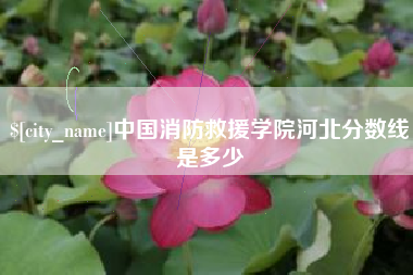 桦甸中国消防救援学院河北分数线是多少