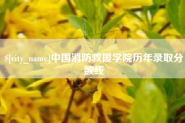 桦甸中国消防救援学院历年录取分数线