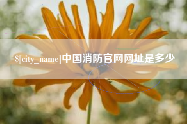 桦甸中国消防官网网址是多少