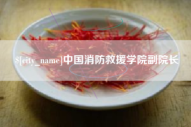 桦甸中国消防救援学院副院长