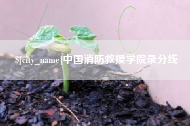 桦甸中国消防救援学院录分线