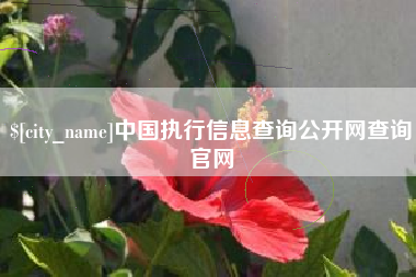 桦甸中国执行信息查询公开网查询官网