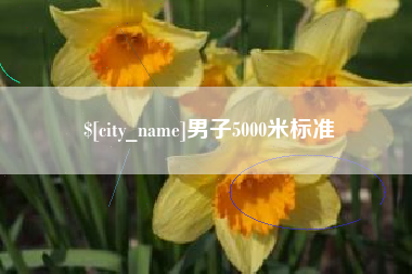 桦甸男子5000米标准