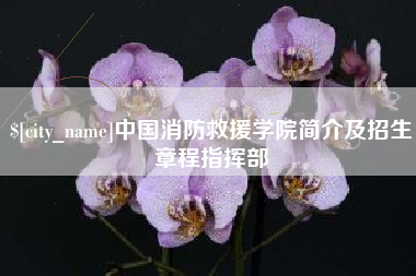 桦甸中国消防救援学院简介及招生章程指挥部