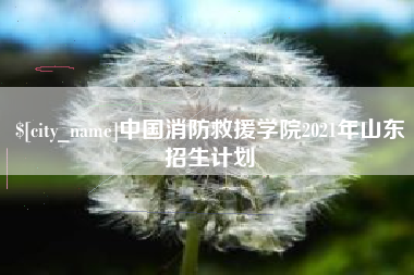 桦甸中国消防救援学院2021年山东招生计划