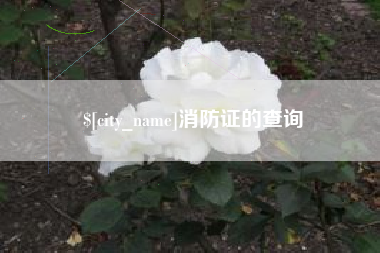 桦甸消防证的查询
