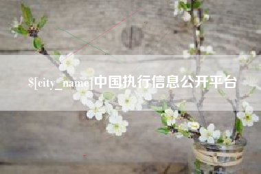 桦甸中国执行信息公开平台