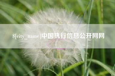 桦甸中国执行信息公开网网