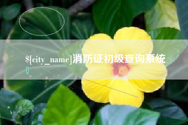 桦甸消防证初级查询系统