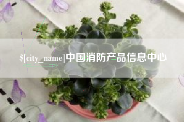 桦甸中国消防产品信息中心