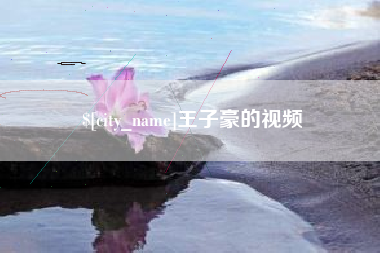 桦甸王子豪的视频