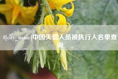 桦甸中国失信人员被执行人名单查询