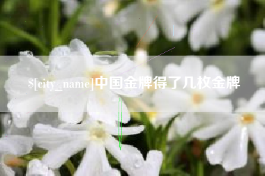 桦甸中国金牌得了几枚金牌