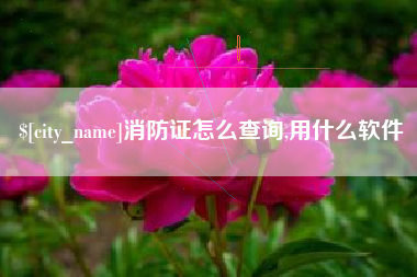 桦甸消防证怎么查询,用什么软件