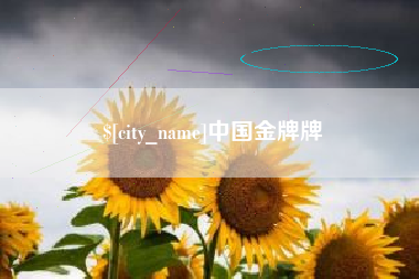 桦甸中国金牌牌