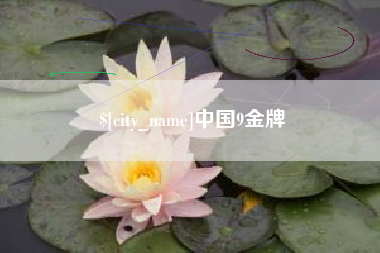 桦甸中国9金牌