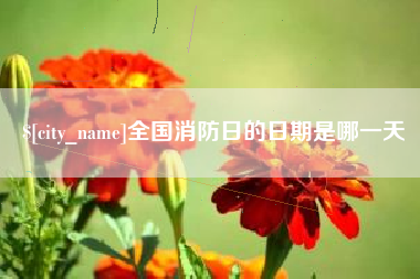 桦甸全国消防日的日期是哪一天