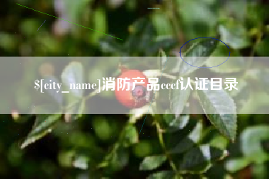 桦甸消防产品cccf认证目录