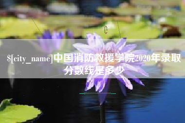 桦甸中国消防救援学院2020年录取分数线是多少
