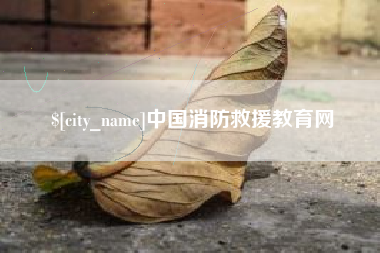 桦甸中国消防救援教育网