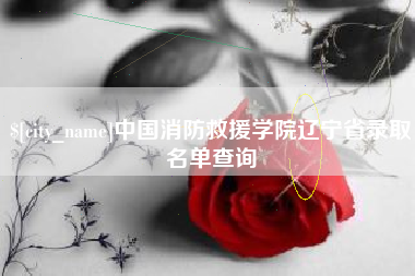 桦甸中国消防救援学院辽宁省录取名单查询