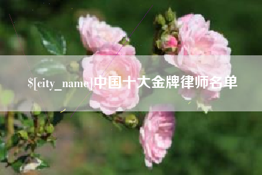 桦甸中国十大金牌律师名单