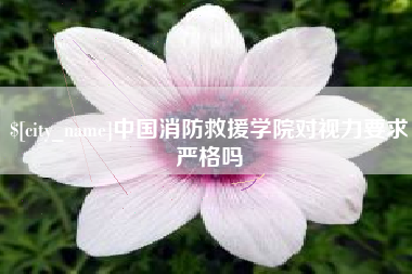 桦甸中国消防救援学院对视力要求严格吗