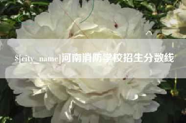 桦甸河南消防学校招生分数线