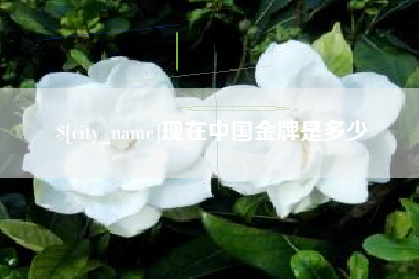 桦甸现在中国金牌是多少