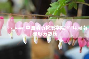 桦甸中国消防救援学院2020年河南录取分数线