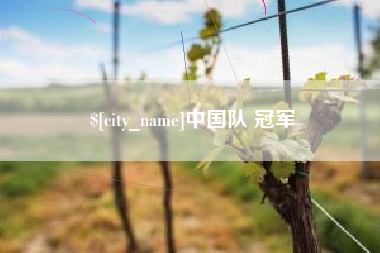 桦甸中国队 冠军