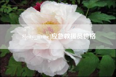 桦甸应急救援员价格