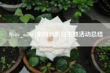 桦甸全国消防日主题活动总结