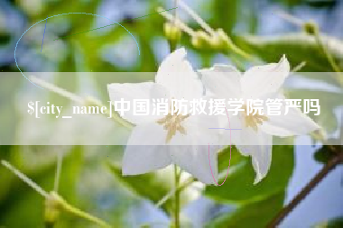 桦甸中国消防救援学院管严吗