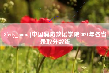 桦甸中国消防救援学院2021年各省录取分数线
