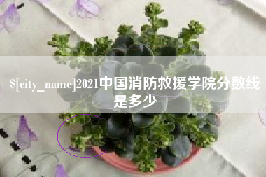 桦甸2021中国消防救援学院分数线是多少