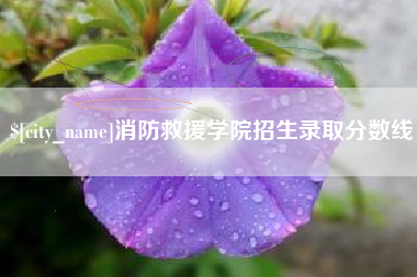 桦甸消防救援学院招生录取分数线