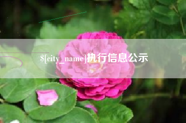 桦甸执行信息公示
