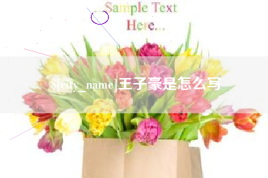 桦甸王子豪是怎么写