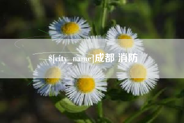 桦甸成都 消防