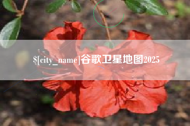 桦甸谷歌卫星地图2025