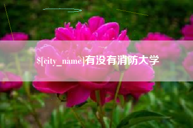 桦甸有没有消防大学