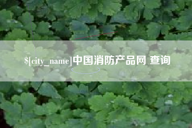 桦甸中国消防产品网 查询