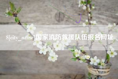 桦甸国家消防救援队伍报名网址