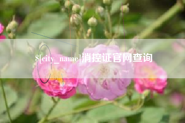 桦甸消控证官网查询