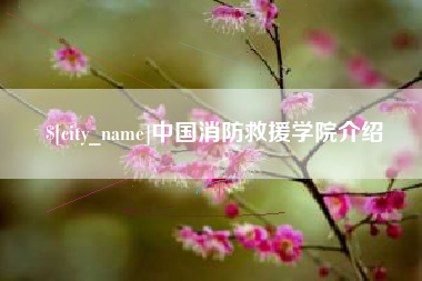 桦甸中国消防救援学院介绍