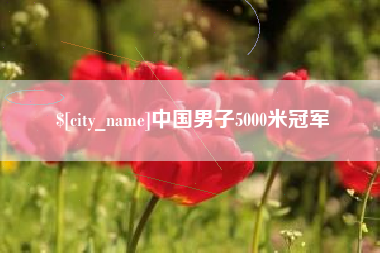 桦甸中国男子5000米冠军